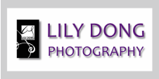 LILY DONG PHOTOGRAPHY